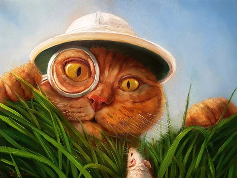 Framed Explorer Print