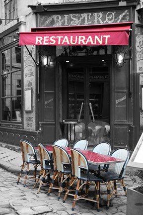 Framed Paris No. 5 Print