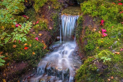 Framed Tranquility Falls Print