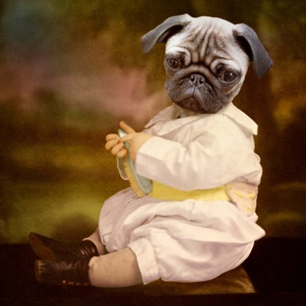 Framed Tommy Boy Print