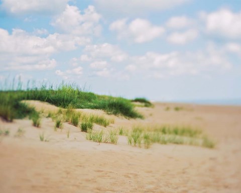 Framed Dreams of Home Print