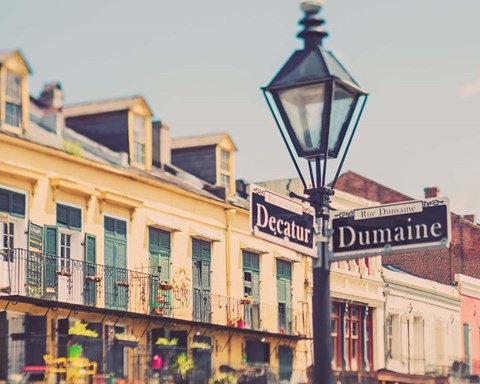 Framed Rue de la Levee Print