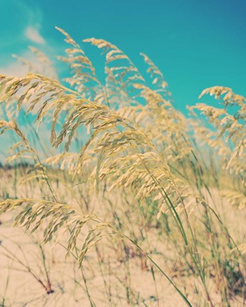 Framed Sea Oats Print