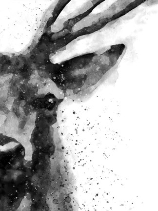 Framed Deer At Attention Print