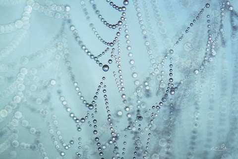 Framed Nature&#39;s Jewels I Print