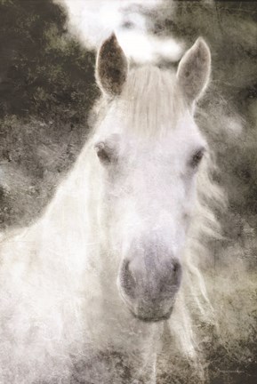 Framed White Horse Mystique Print