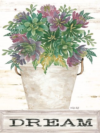 Framed Dream Succulents Print