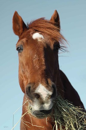 Framed Feeding Time Print