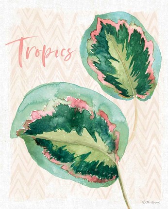 Framed From the Jungle XI Print