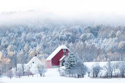 Framed Snowy Valley Print