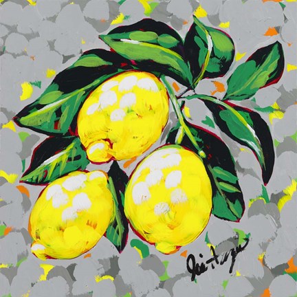 Framed Fruit Sketch Lemons Print