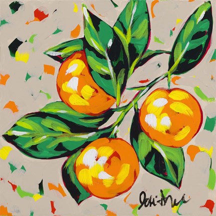 Framed Fruit Sketch Oranges Print