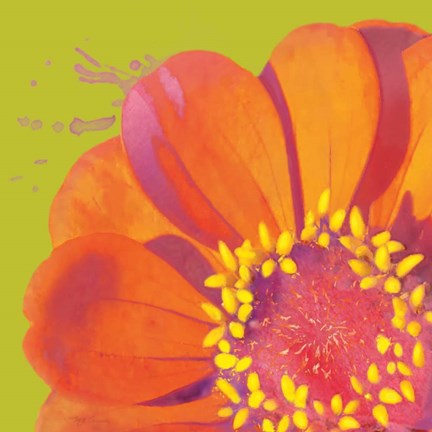 Framed Flower Pop I Print