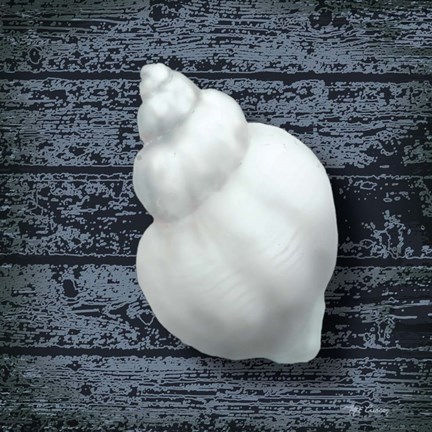 Framed Seashore Shells Navy IV Print