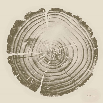 Framed Tree Trunk cream II Print