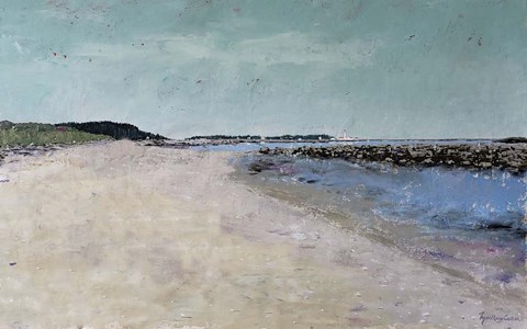 Framed Metis Beach II Print
