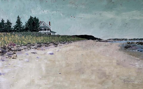 Framed Metis Beach III Print