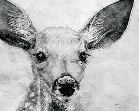 Framed Portrait of a Fawn Print