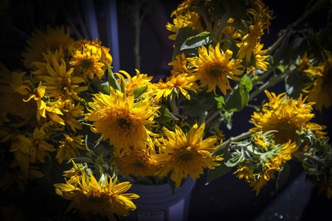 Framed Yellow Flowers Print