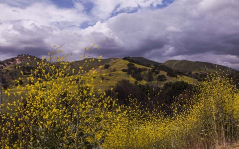 Framed Rolling Hills Print