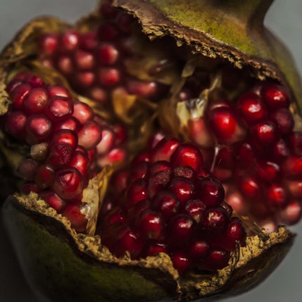 Framed Pomegranate Print