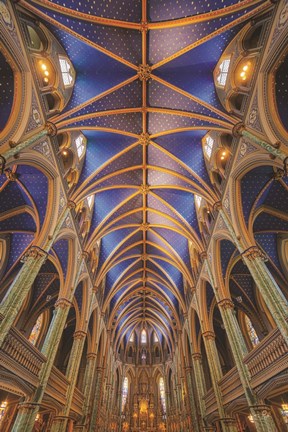 Framed Notre-Dame Cathedral Basilica Print