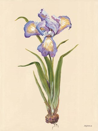 Framed Blue Iris Print