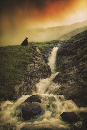 Framed Into the Wild Print