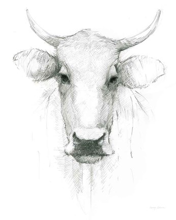 Framed Cow Sketch Print