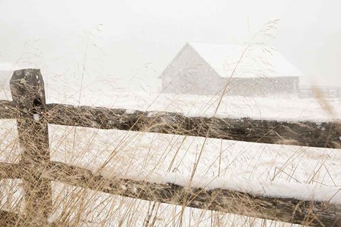 Framed Snowy Day Print