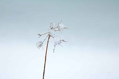 Framed Diamonds in Winter II Print