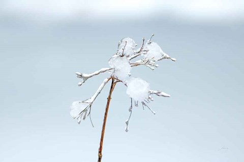 Framed Diamonds in Winter I Print