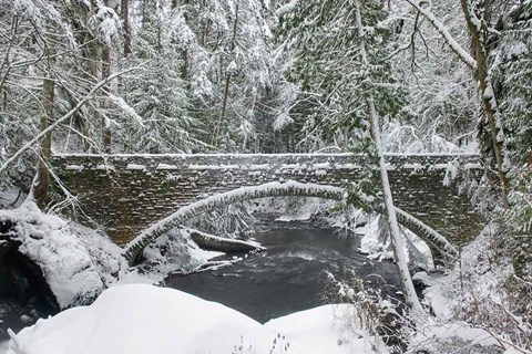 Framed Whatcom Creek Bridge Print