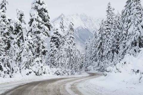 Framed Mount Baker Highway I Print