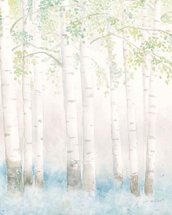 Framed Soft Birches III Print