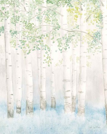 Framed Soft Birches II Print