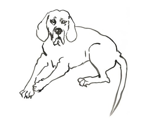 Framed Dog III Print