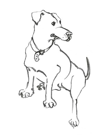 Framed Dog IV Print