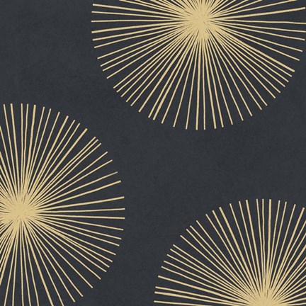 Framed Bursts II Print