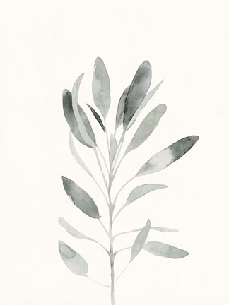 Framed Delicate Sage Botanical II Print