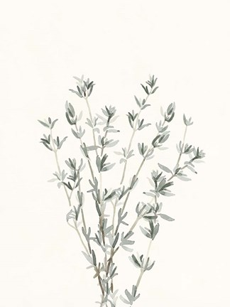 Framed Delicate Sage Botanical III Print