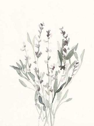 Framed Delicate Sage Botanical V Print