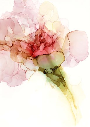 Framed Flower Passion II Print