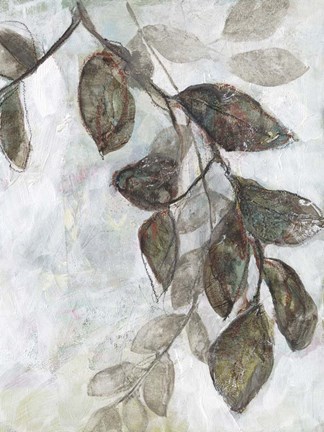 Framed Dream Branches II Print