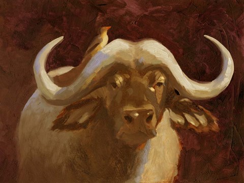 Framed Cape Buffalo I Print