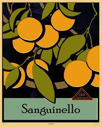 Framed Euro Poster IV Print