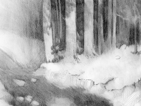 Framed Graphite Glade I Print