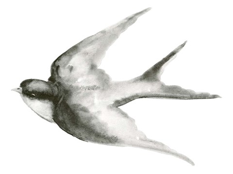 Framed Cloud Chasers II Print