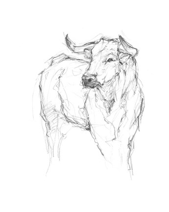 Framed Bull Study I Print