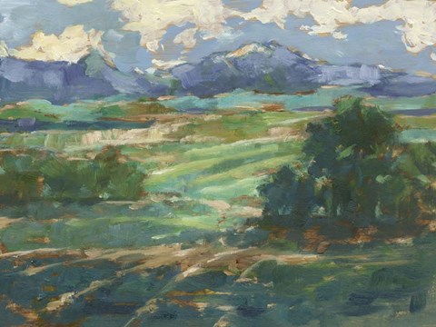 Framed Rolling Farmland II Print